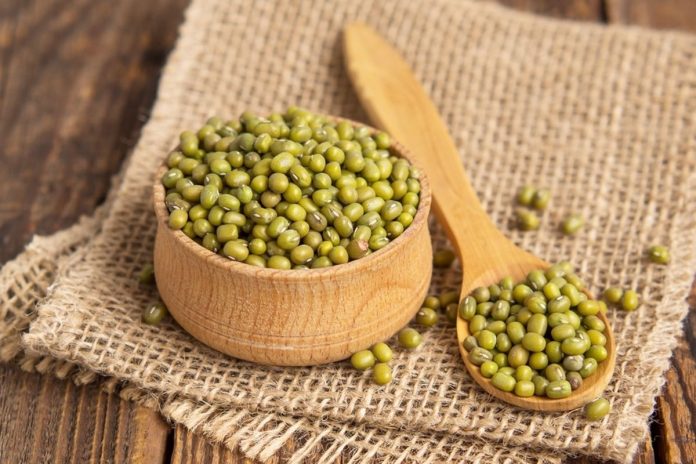 Kacang hijau adalah makanan yang banyak manfaat, meliputi untuk menjaga kesehatan usus, jantung, dan mencegah kita terkena penyakit kronis.(Shutterstock/badnews86dups)