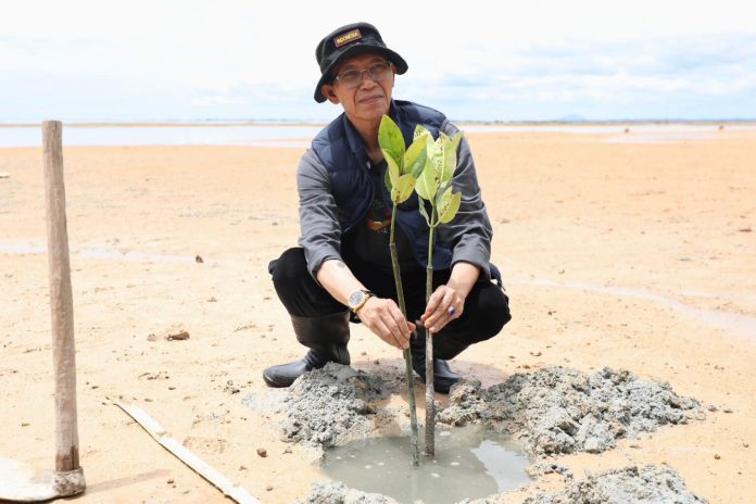 Wali Kota Batam, Amsakar Achmad, mengikuti aksi penanaman mangrove bersama mahasiswa UNRIKA di kawasan pesisir Tanjung Bemban, Nongsa, Sabtu (9/5/2026)
