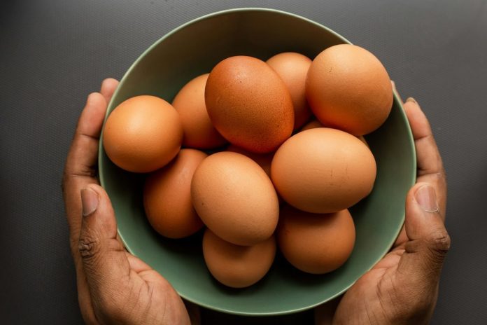 Ilustrasi telur ayam.(UNSPLASH/LOUIS HANSEN)